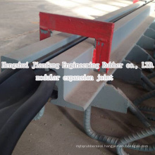 Professional Modular Expansion Joint to Singapore